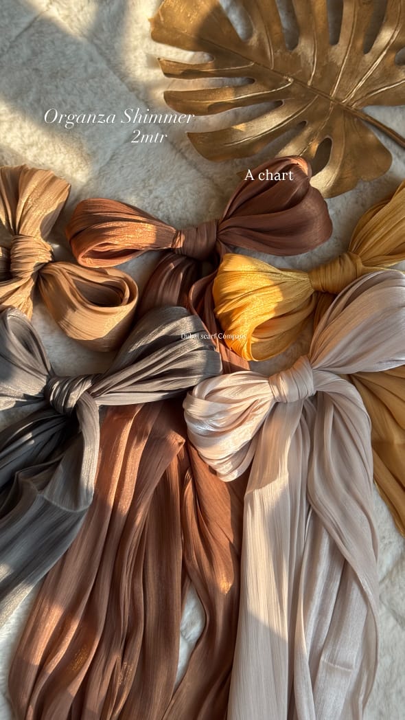 DSC ORGANZA SHIMMER HIJABS