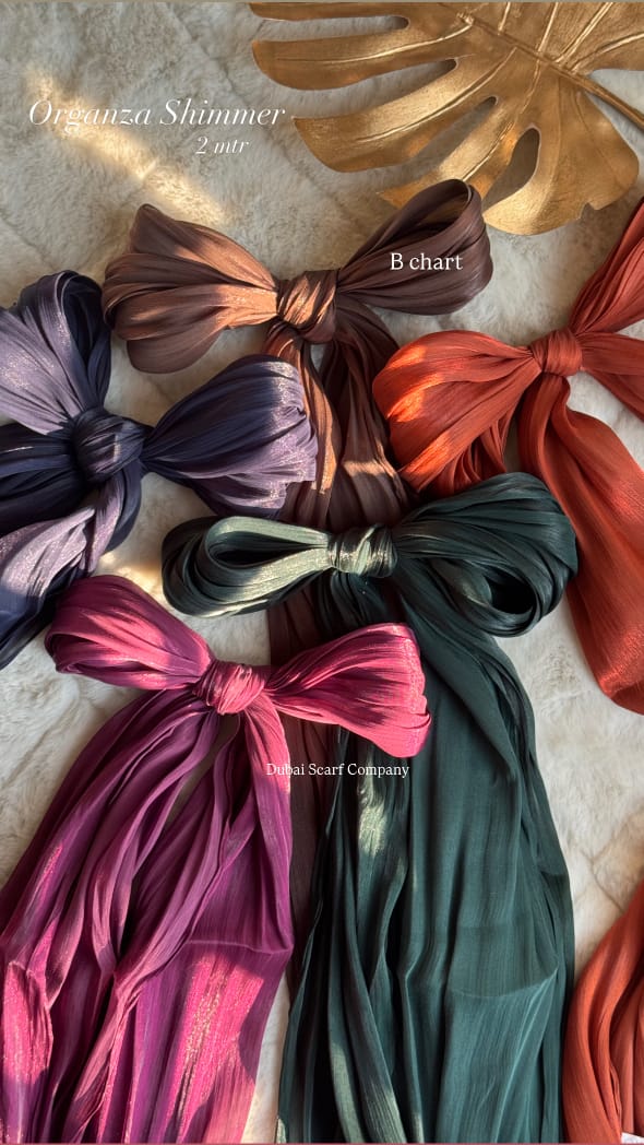 DSC ORGANZA SHIMMER HIJABS