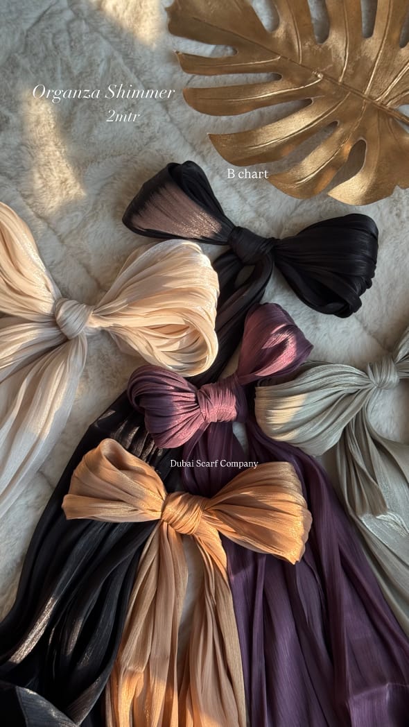 DSC ORGANZA SHIMMER HIJABS