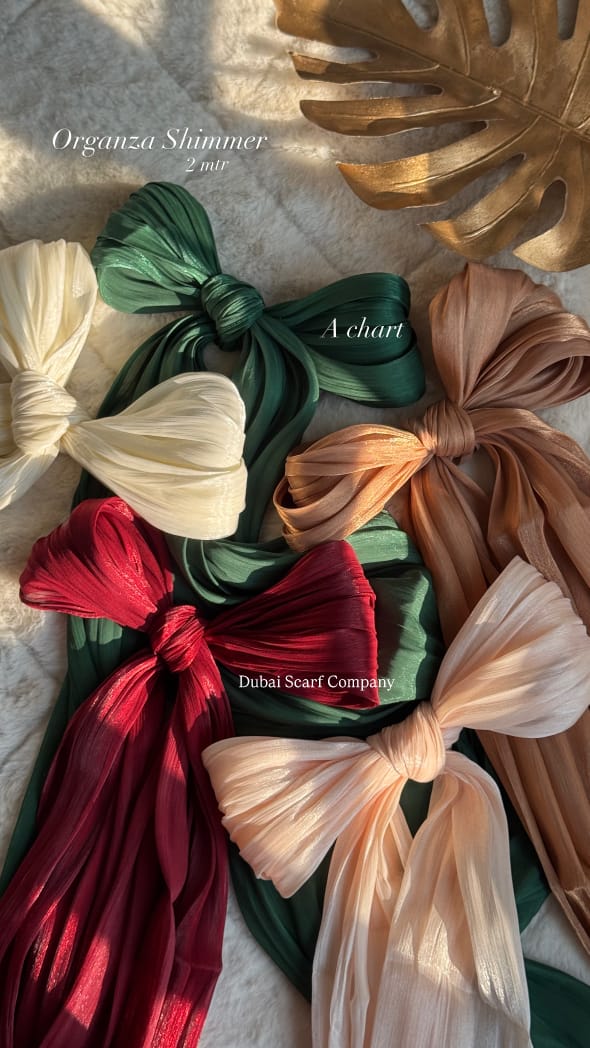 DSC ORGANZA SHIMMER HIJABS