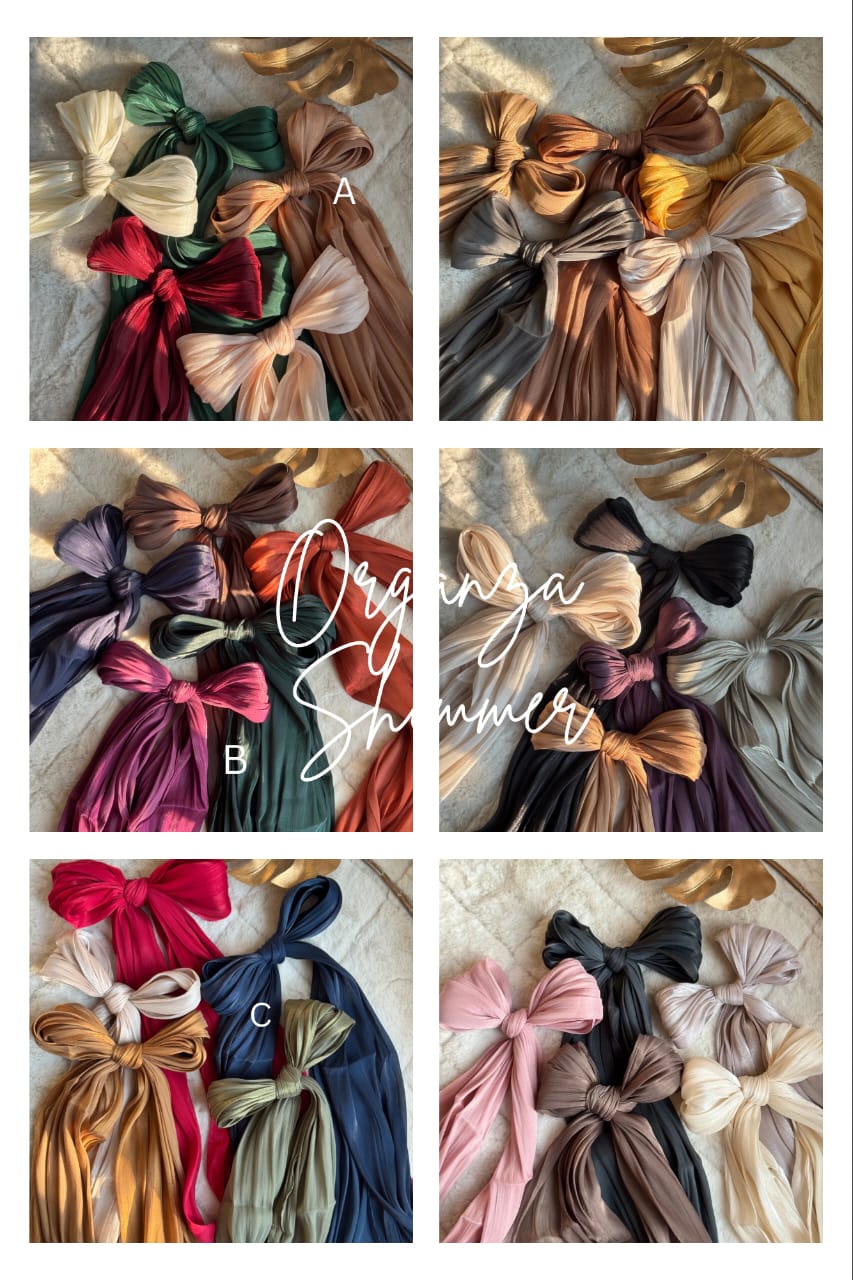 DSC ORGANZA SHIMMER HIJABS